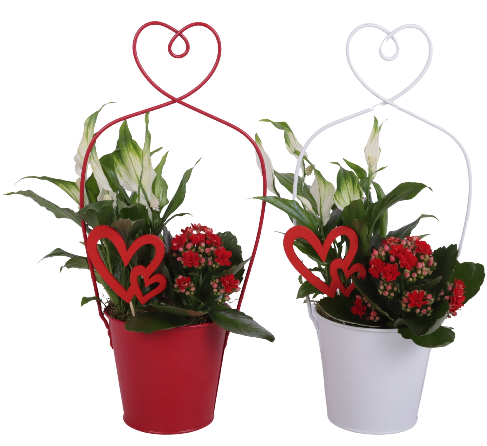 Valentine Arr. Indoor Metal Framepot + Heart Ø17cm 2PP, D 17