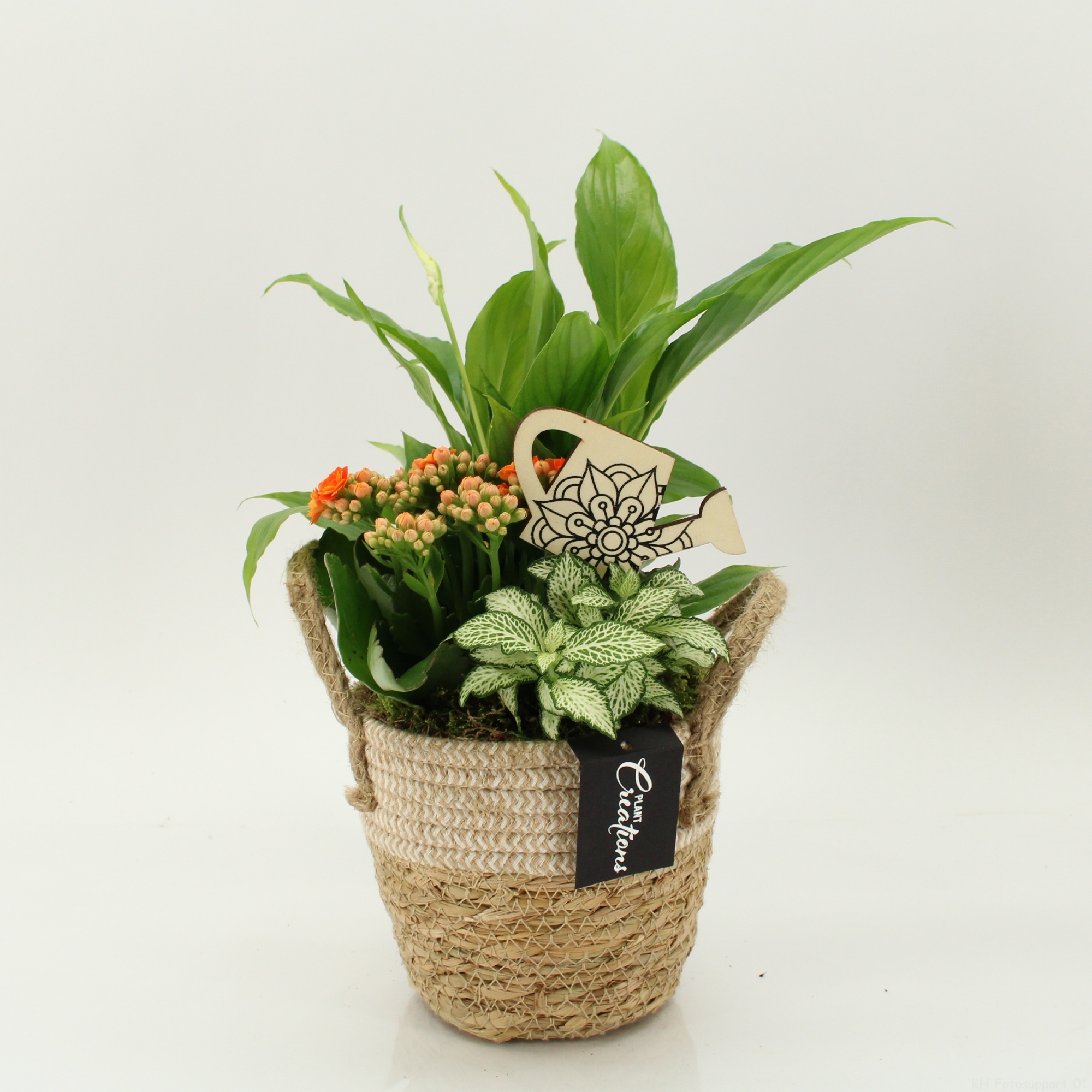 FDCR-2617OR Basic Fundamentals, D 14