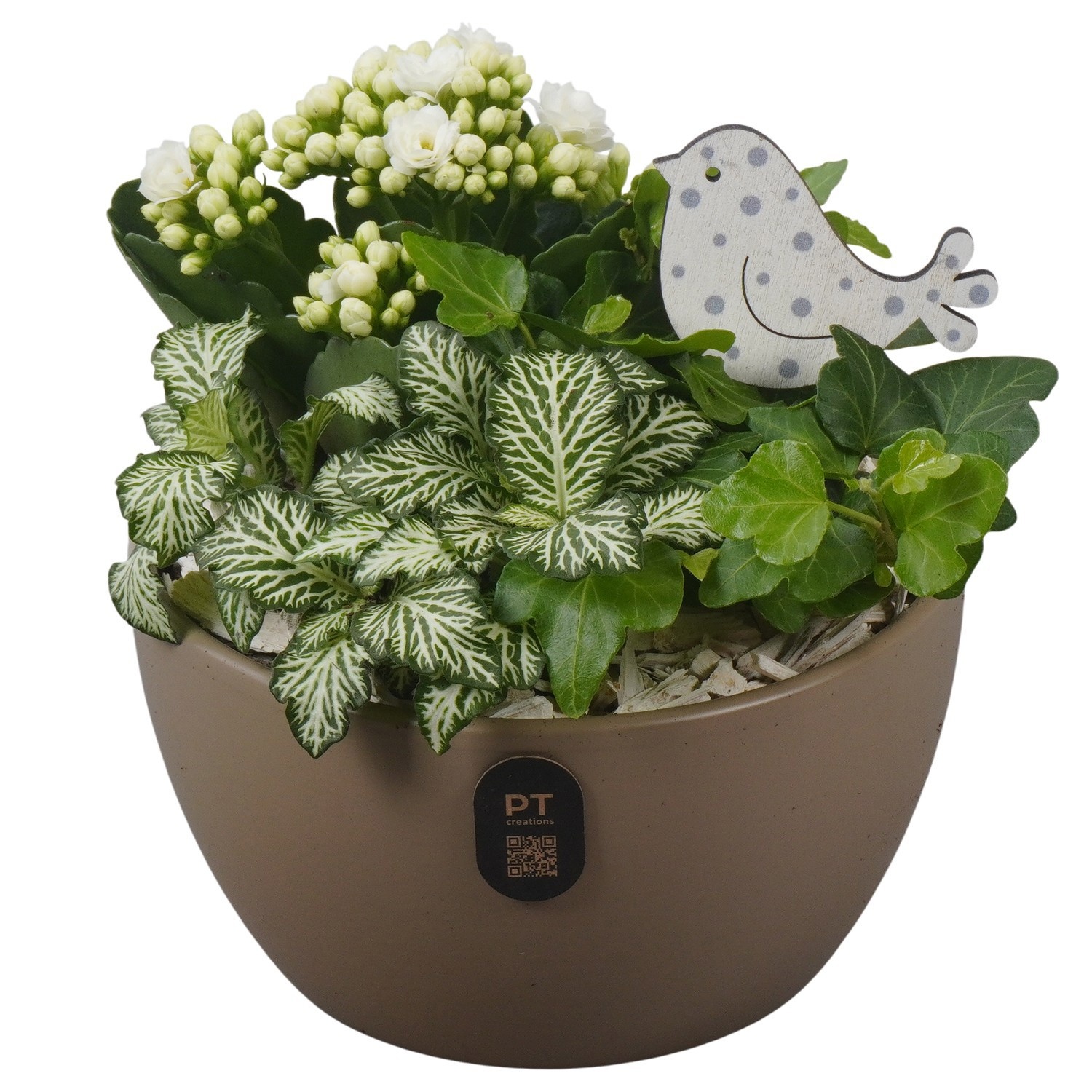 PTIB5160 Arrangement Indoor in keramiek schaal, D 16