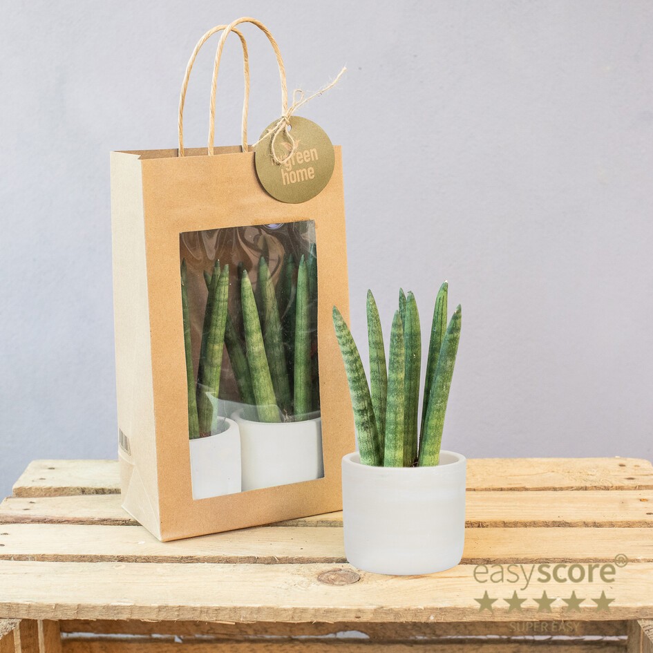 Paperbag Creations 6 cm, D 7