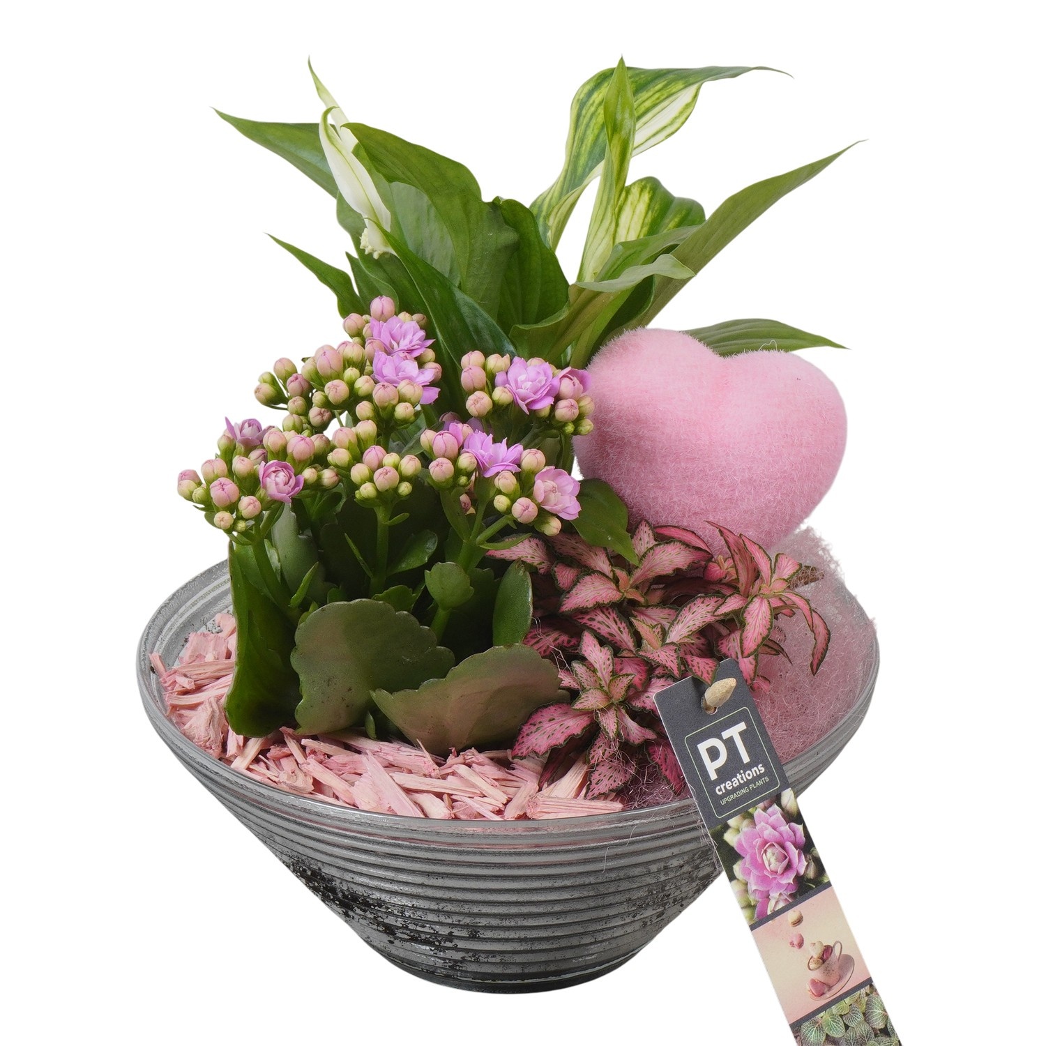 PTVMG4968 Arrangement Valentines-Mothersday in glas schaal, D 19