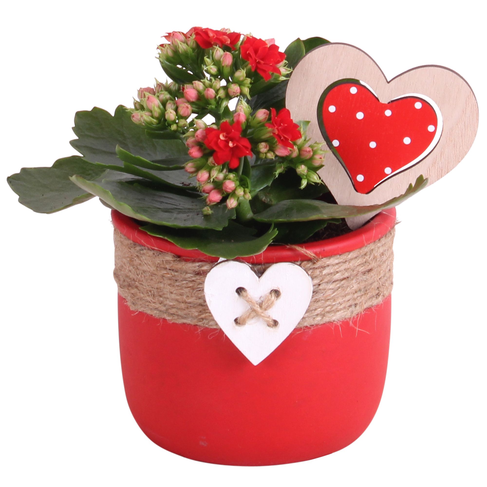Valentine Arr. Indoor Ceramic Pot Round Rope Heart Red Ø11cm 1PP, D 11