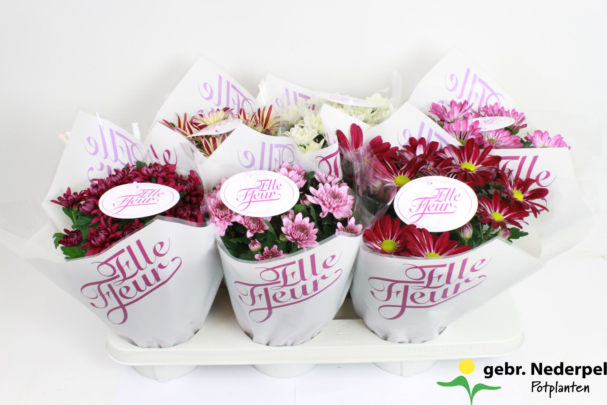 Elle Fleur Mix Pink, D 14