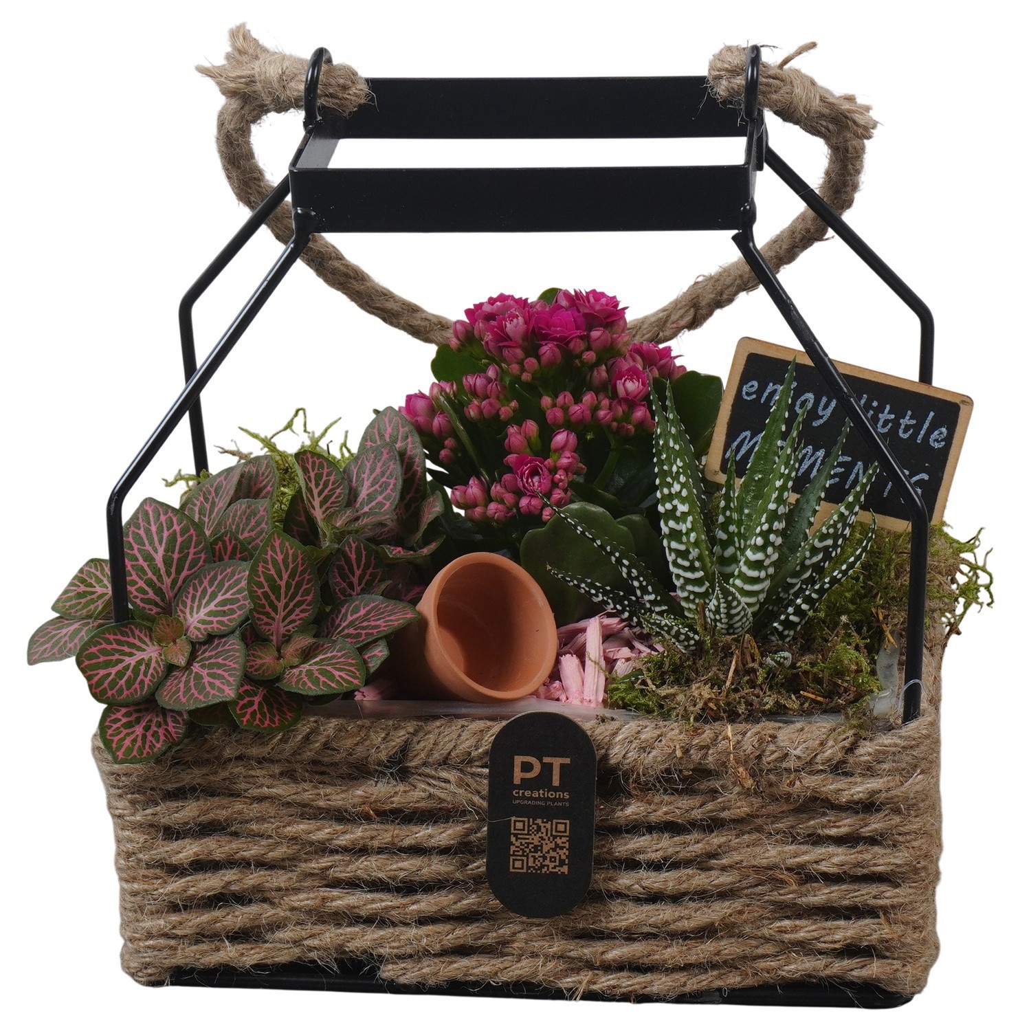 PTIB5269 Arrangement Indoor in touwmand met metaal, D 18