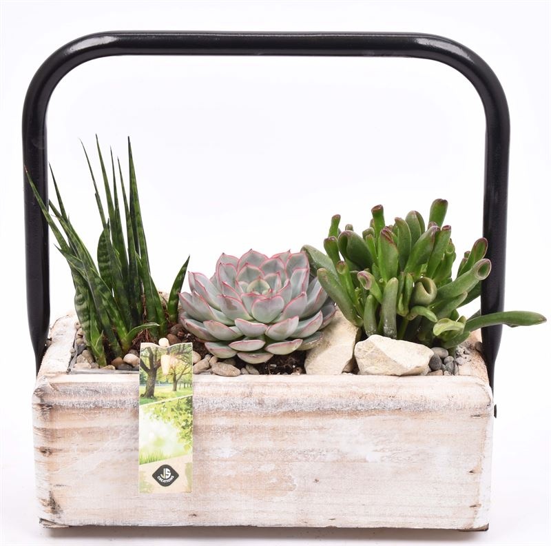 Hout rechthoek met hendel 26x11cm, D 27