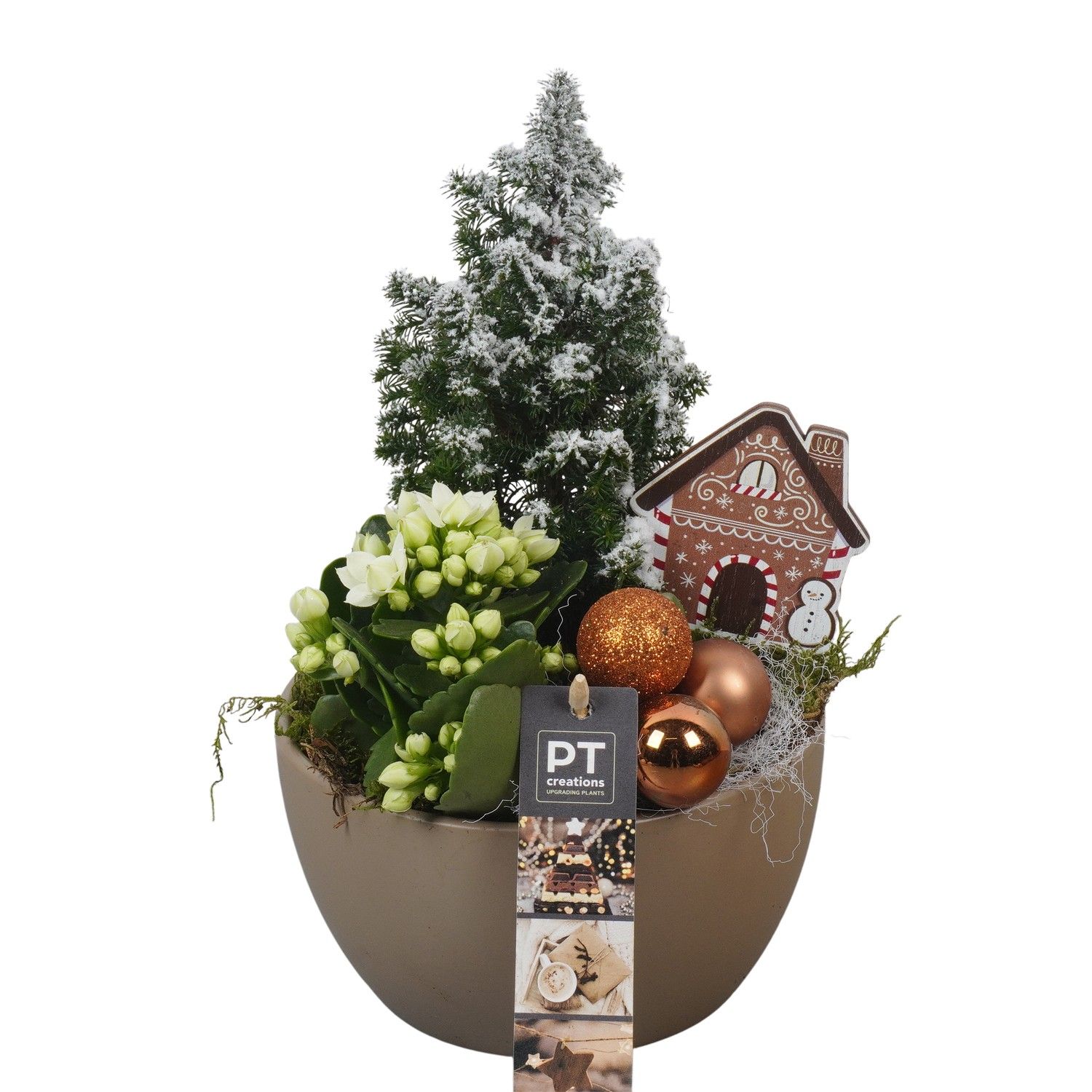 PTCHB9727 Arrangement Christmas Bronze in keramiek schaal, D 15 cm