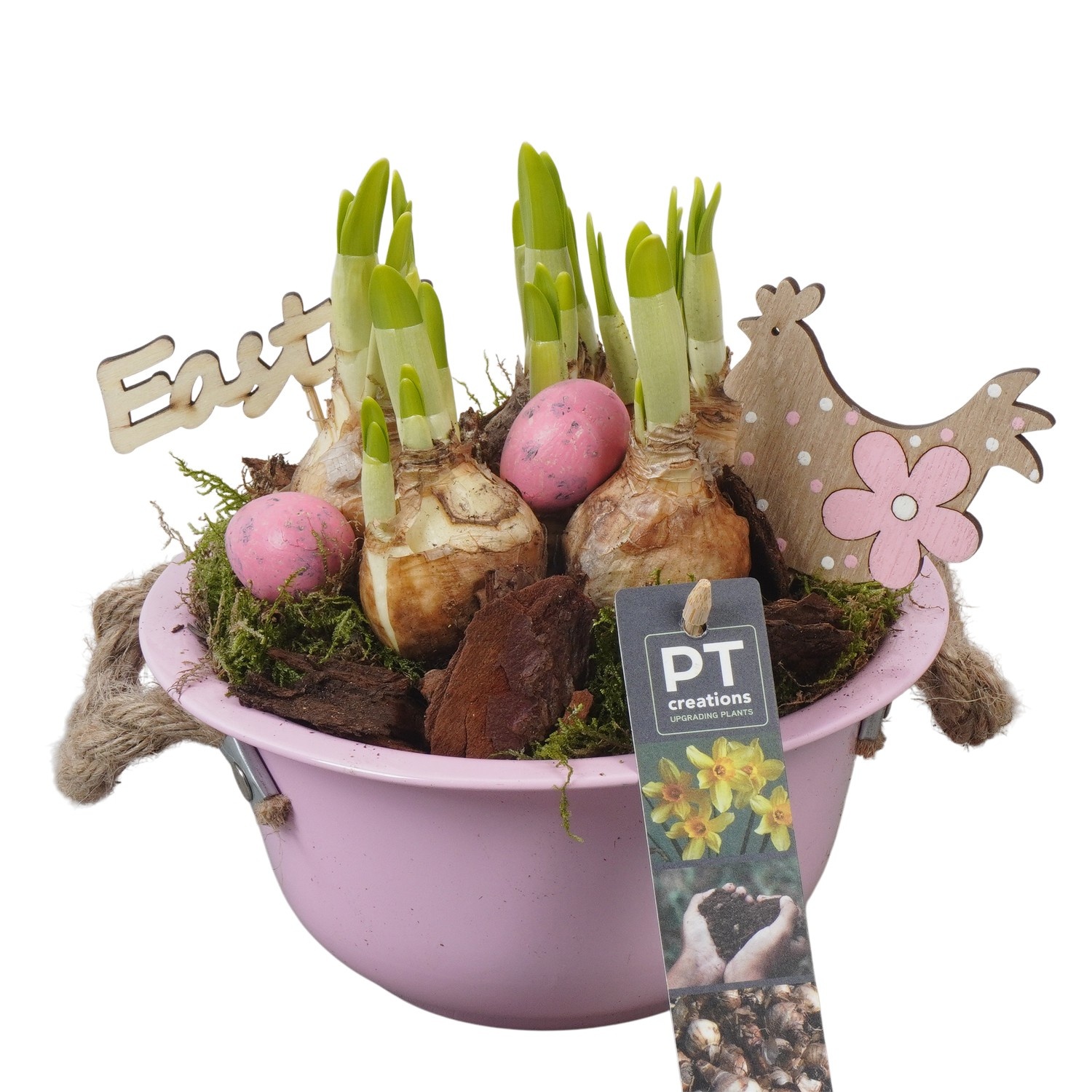 PTNP4414 Arrangement Narcissus Easter in zink schaal, D 18
