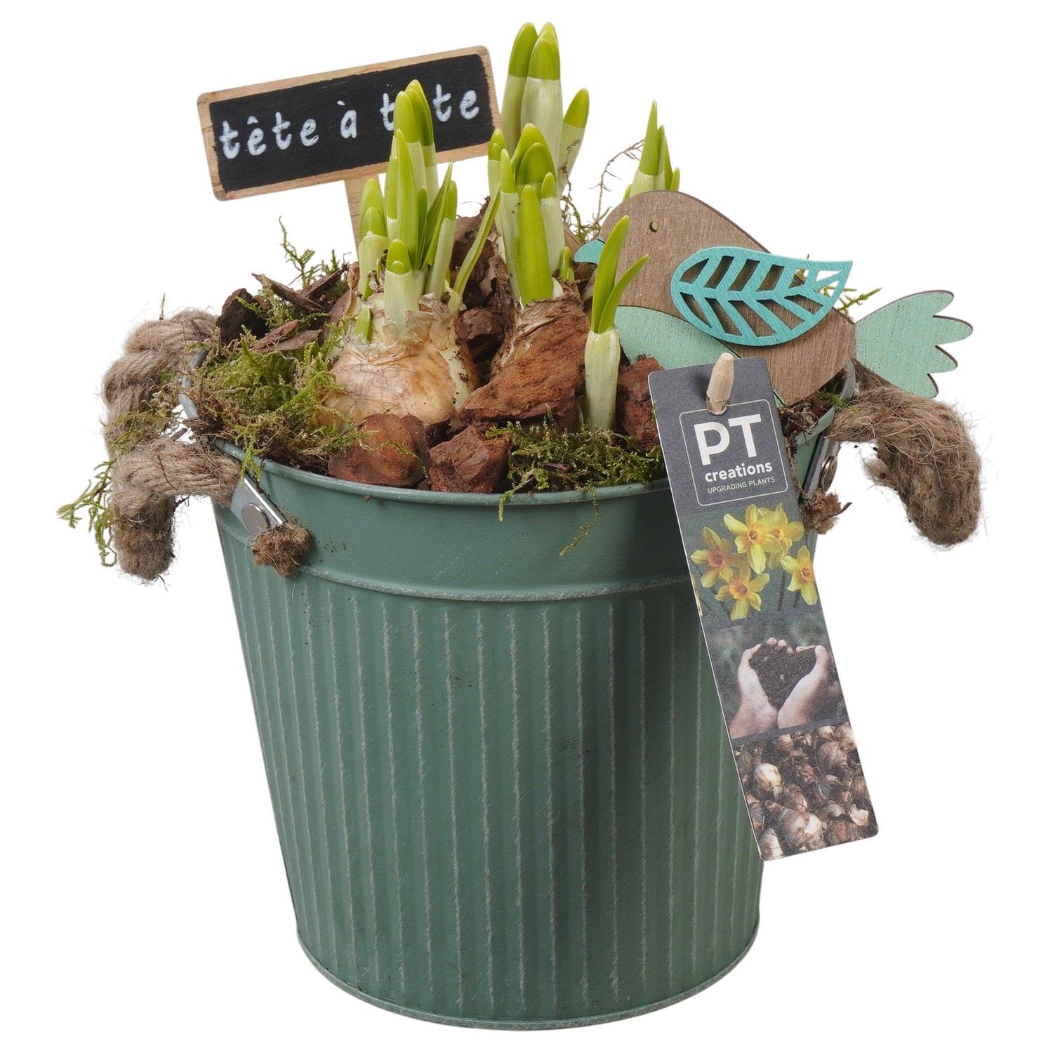 PTN8589 Arrangement Narcissus in zink pot, D 16