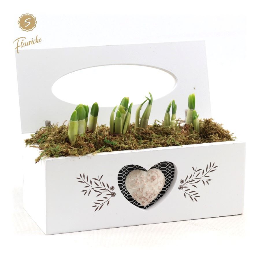 (3802) Narcissus Tissue Box 3PP Mos, D 28 cm