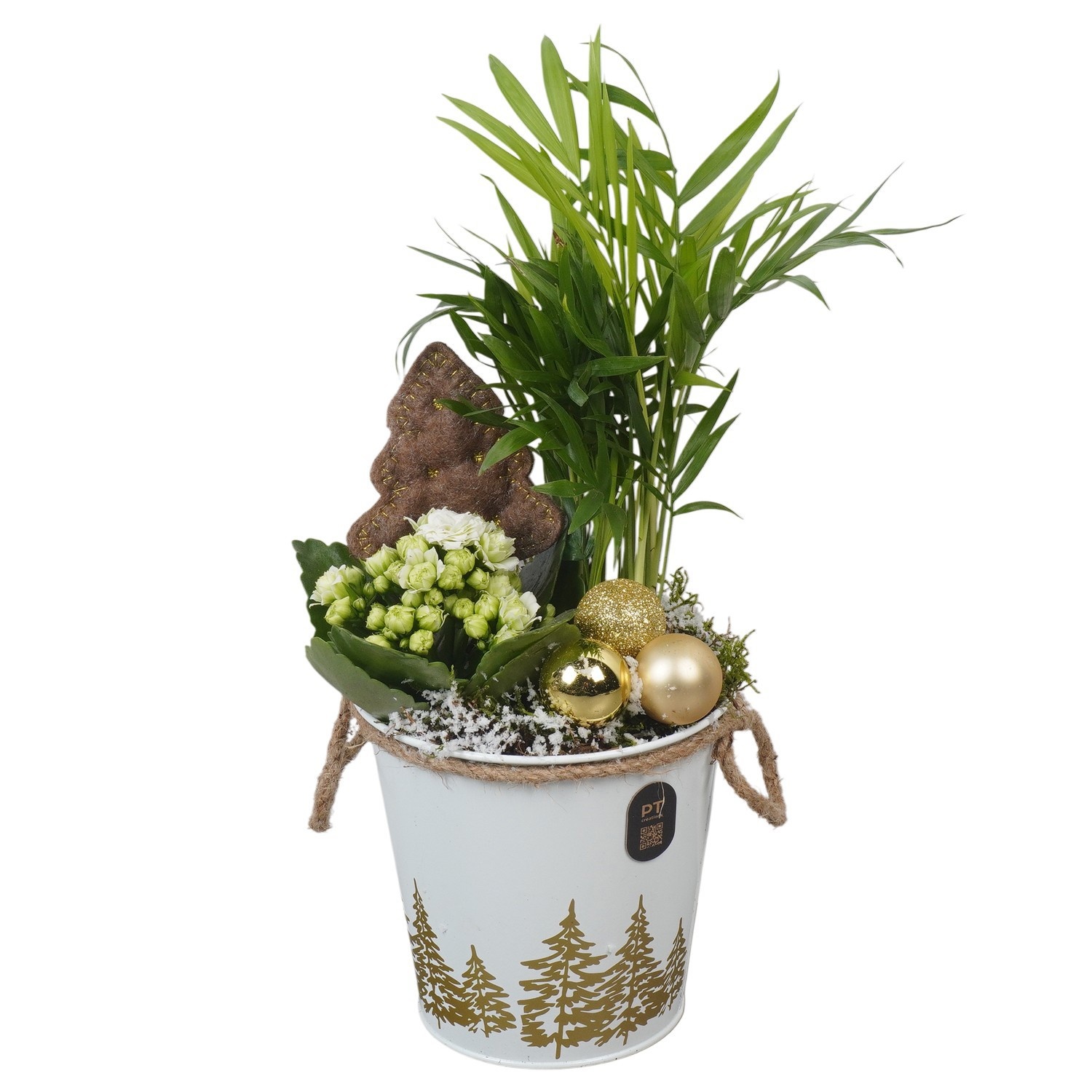 PTCHG4647 Arrangement Christmas Gold in metalen pot, D 13