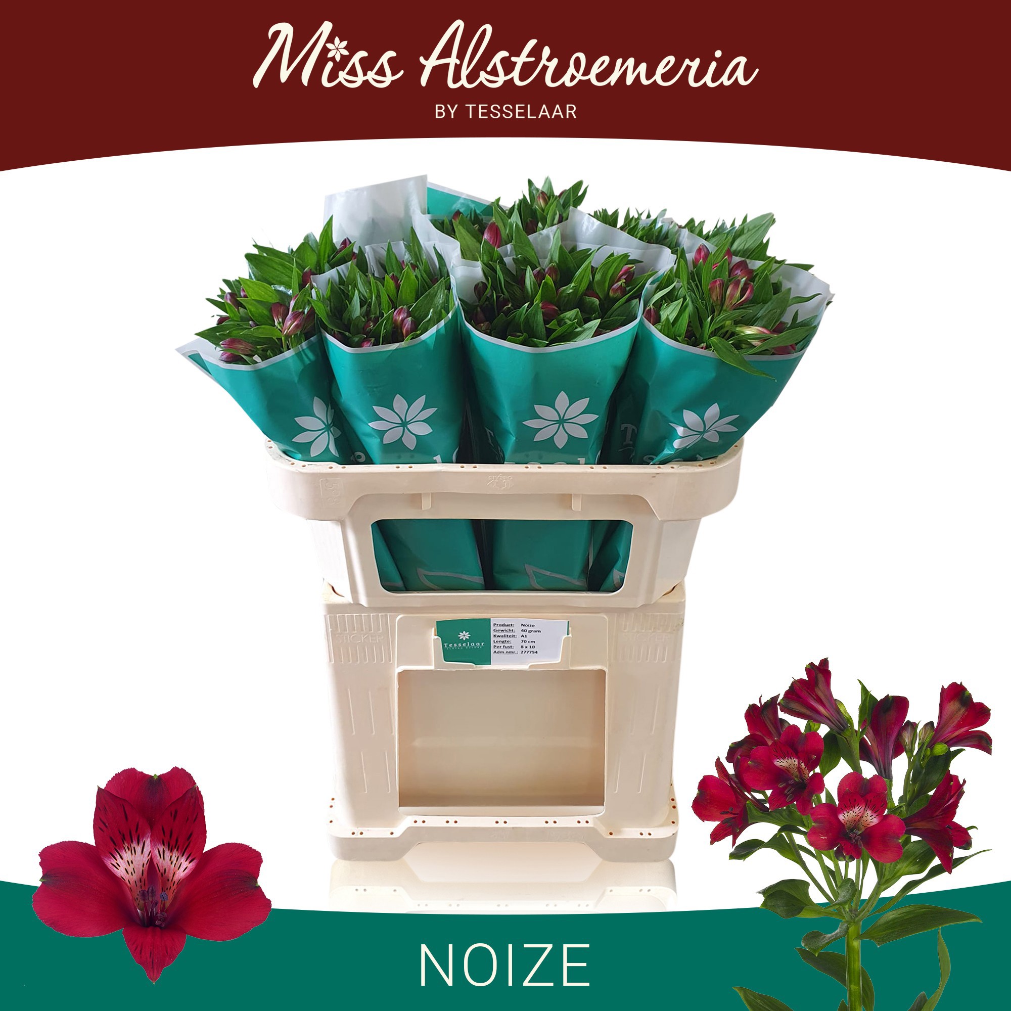 Альстромерия Ноиз (красн.), шт.