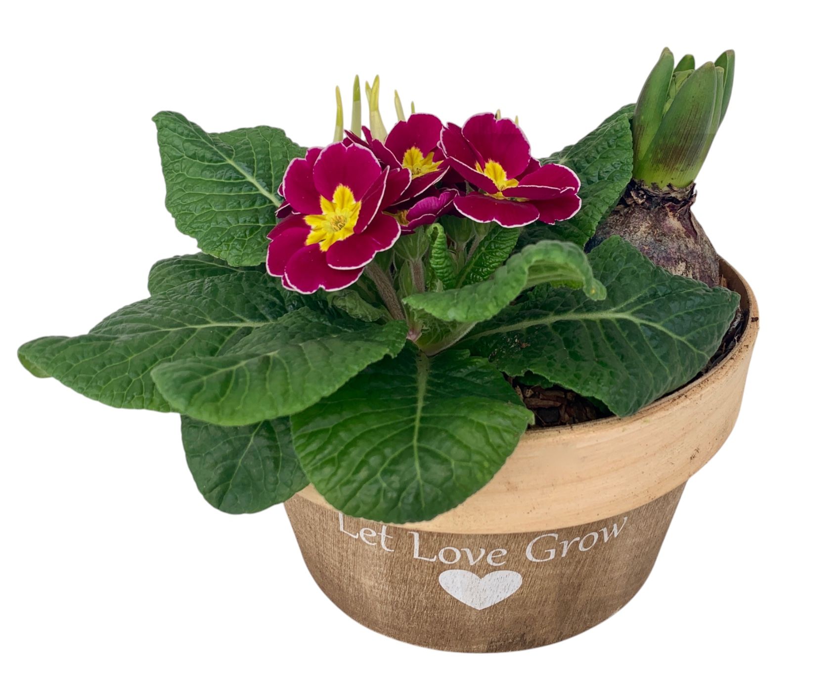 Love Rond Hout 1 prim 1x tet 1x hys 540, D 20