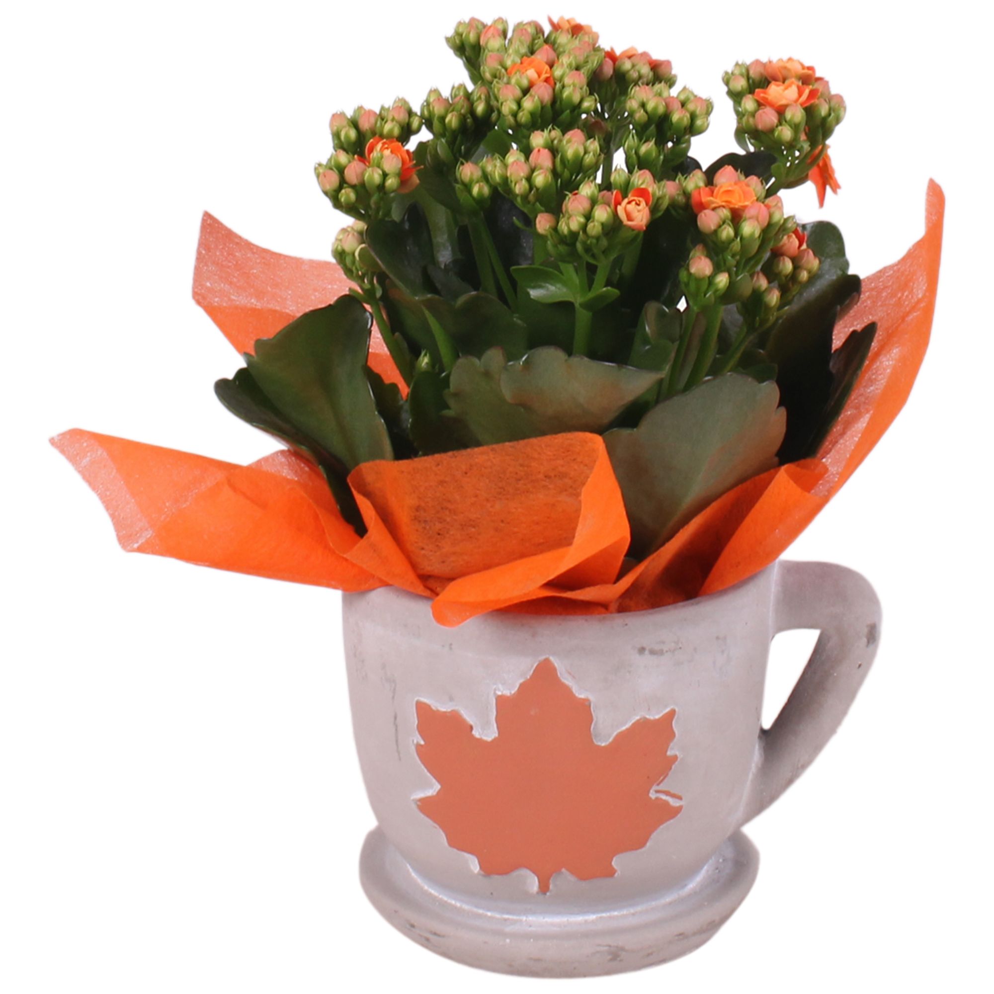 Autumn Arr. Indoor Ceramic Cup Autumn with Leaf Ø12cm 1PP, D 12 cm Autumn Arr. Indoor Ceramic Cup Autumn with Leaf Ø12cm 1PP, D 12 cm