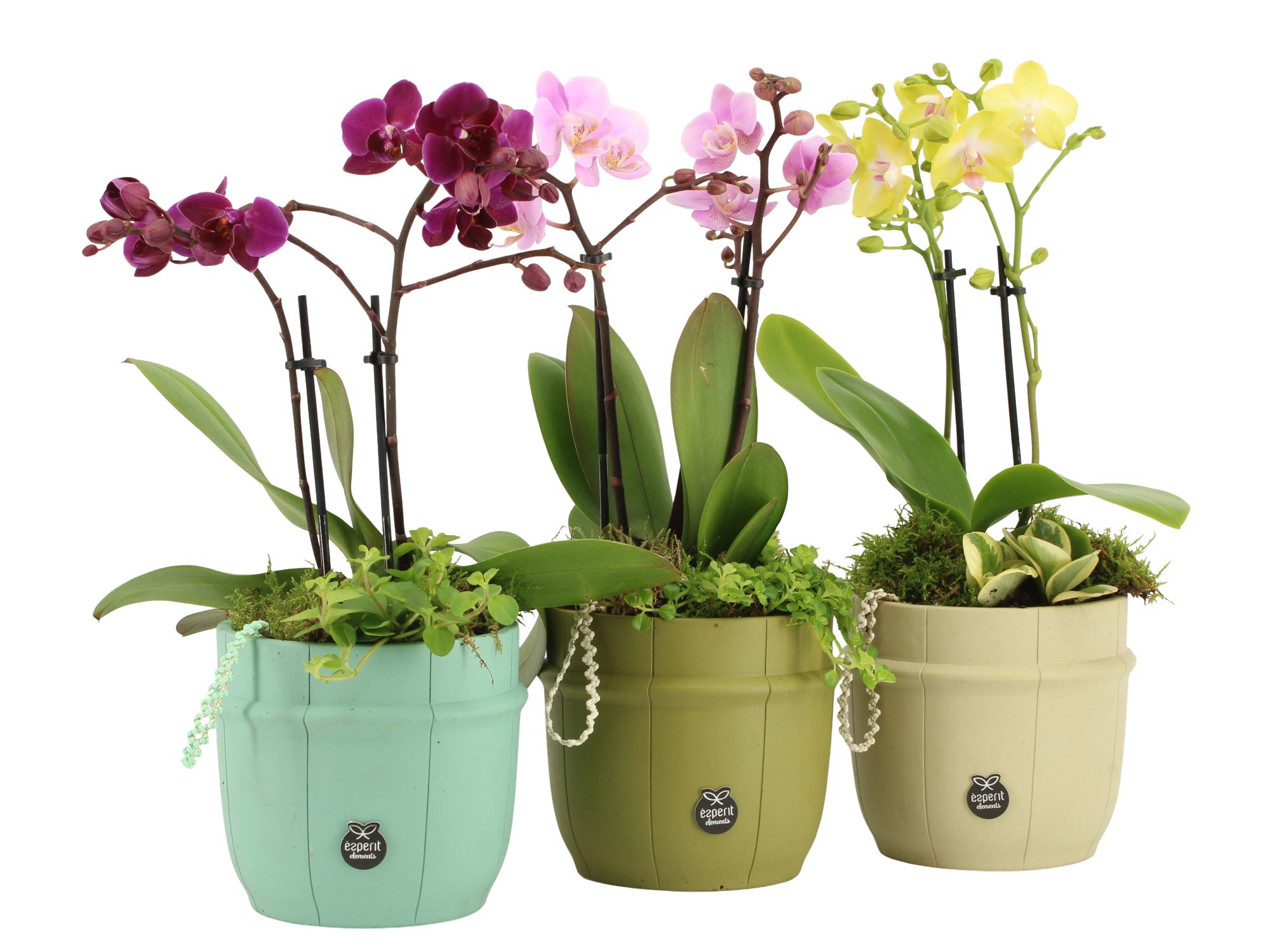 11613: Consideration arrangement, D 14 cm