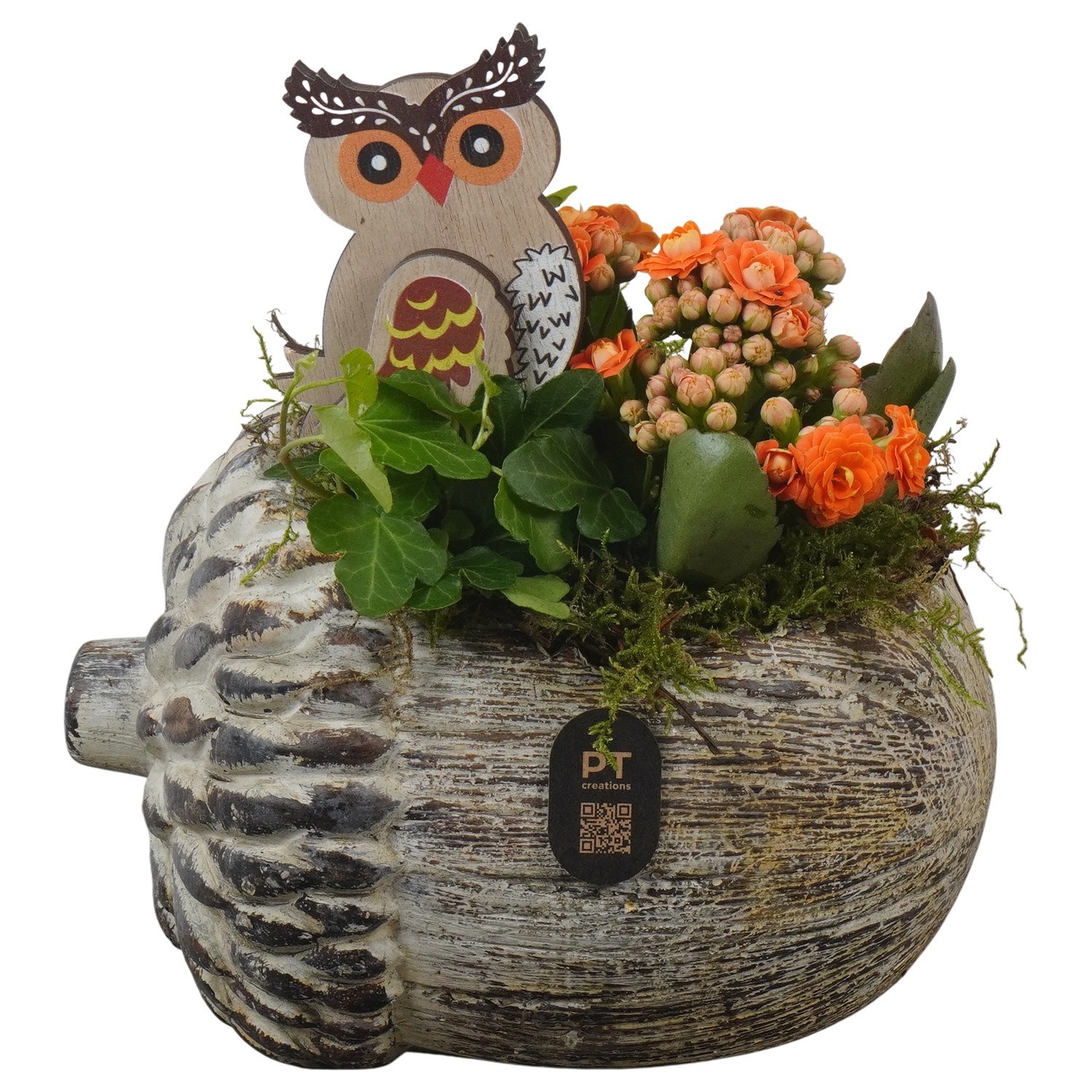 PTHI3270 Arrangement Autumn Indoor in beton pot in noot vorm, D 17