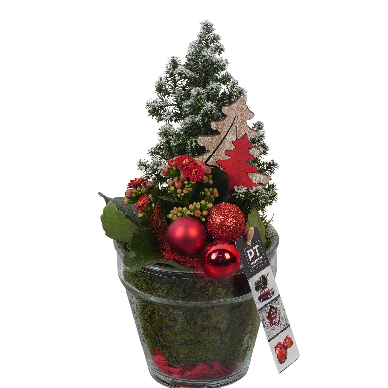 PTCHR7415 Arrangement Christmas Red in glazen pot, D 13 cm