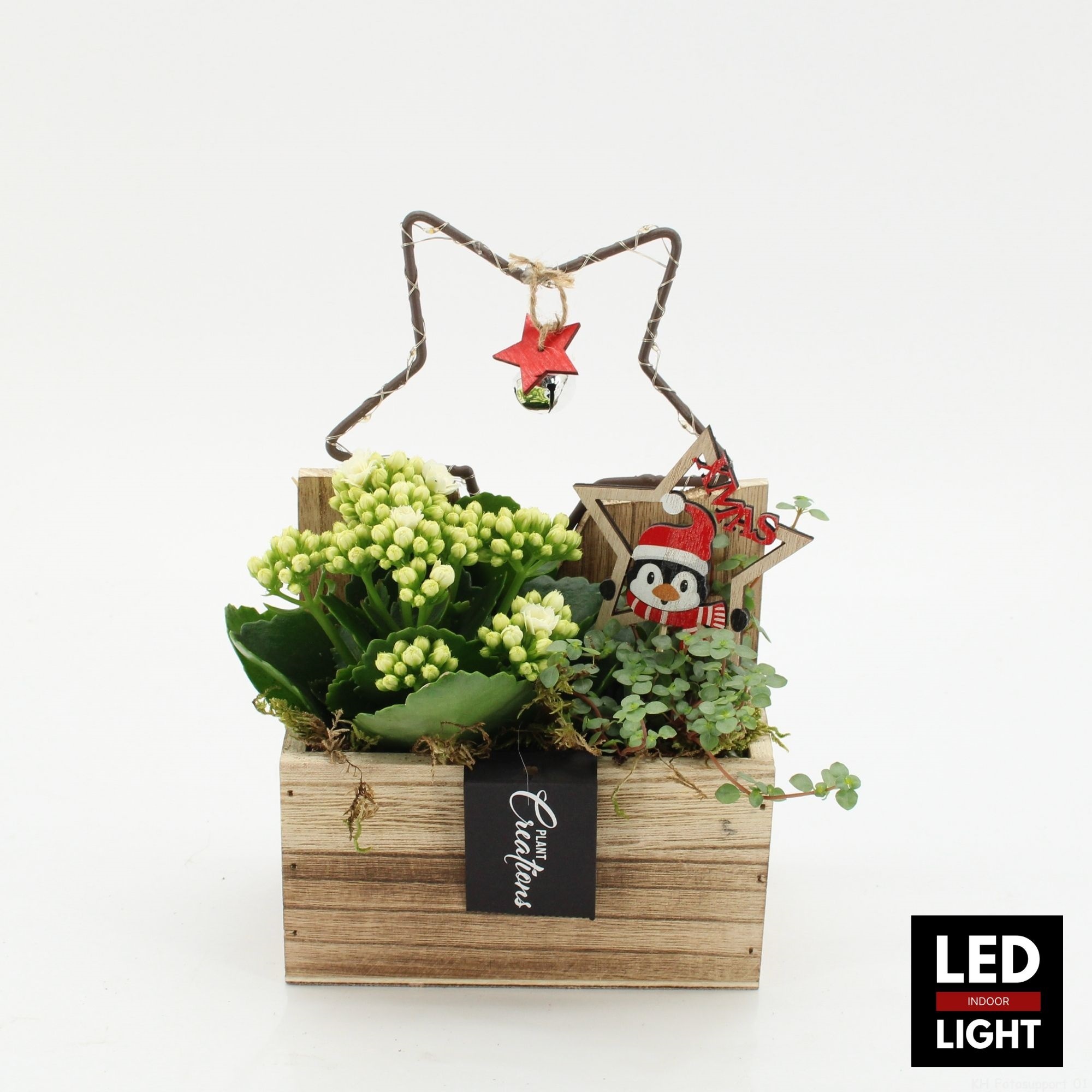 XMAS-25249LED Kerst creatie, D 15 cm XMAS-25249LED Kerst creatie, D 15 cm