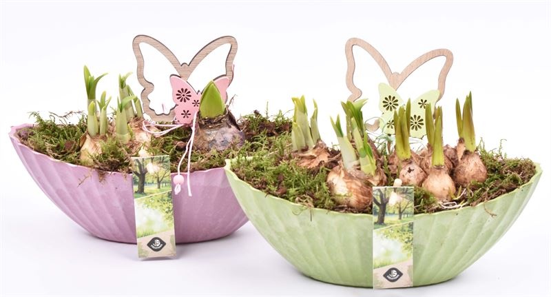 Kunstof kano groen/roze 24x10cm, D 24