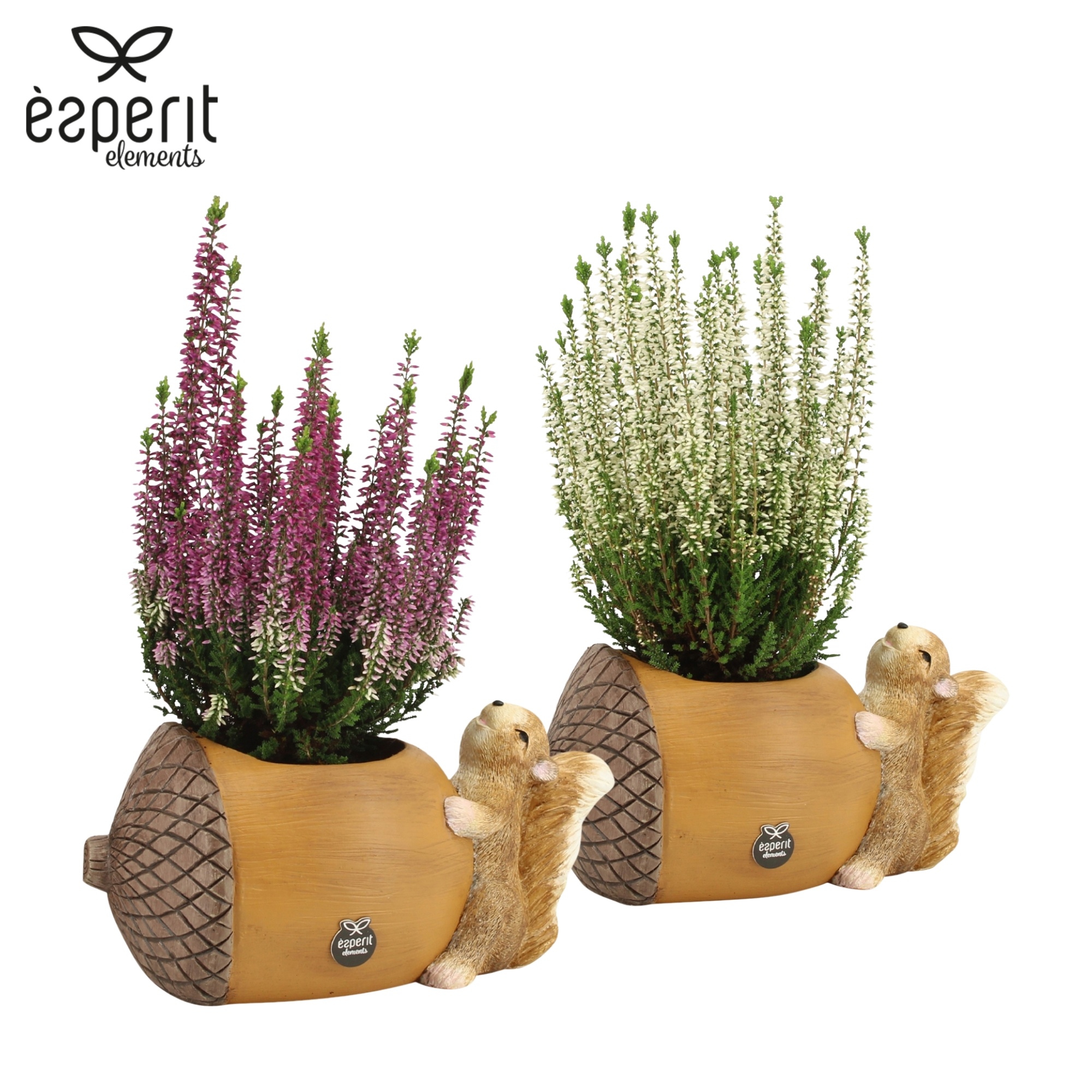 7504514: Solutionss Outdoor autumn, D 9