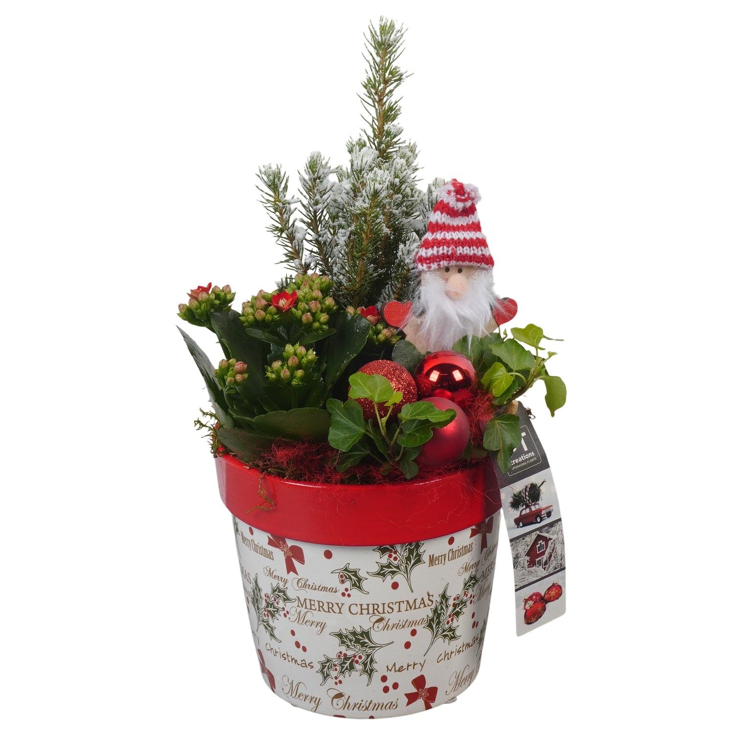 PTCHR7294 Arrangement Christmas Red in keramiek pot, D 14 cm
