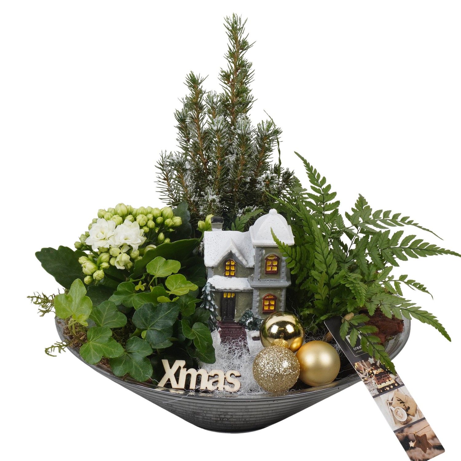 PTCHG5720 Arrangement Christmas Gold in glas schaal, D 26 cm