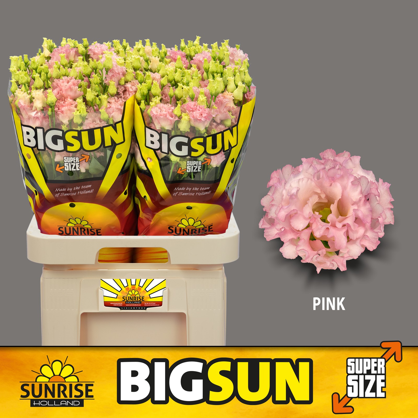 Эустома Алисса Пинк 70 (роз.), шт.