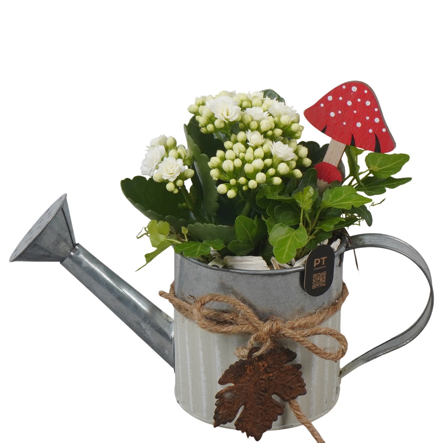 PTHI3397 Arrangement Autumn Indoor in metalen gieter, D 10