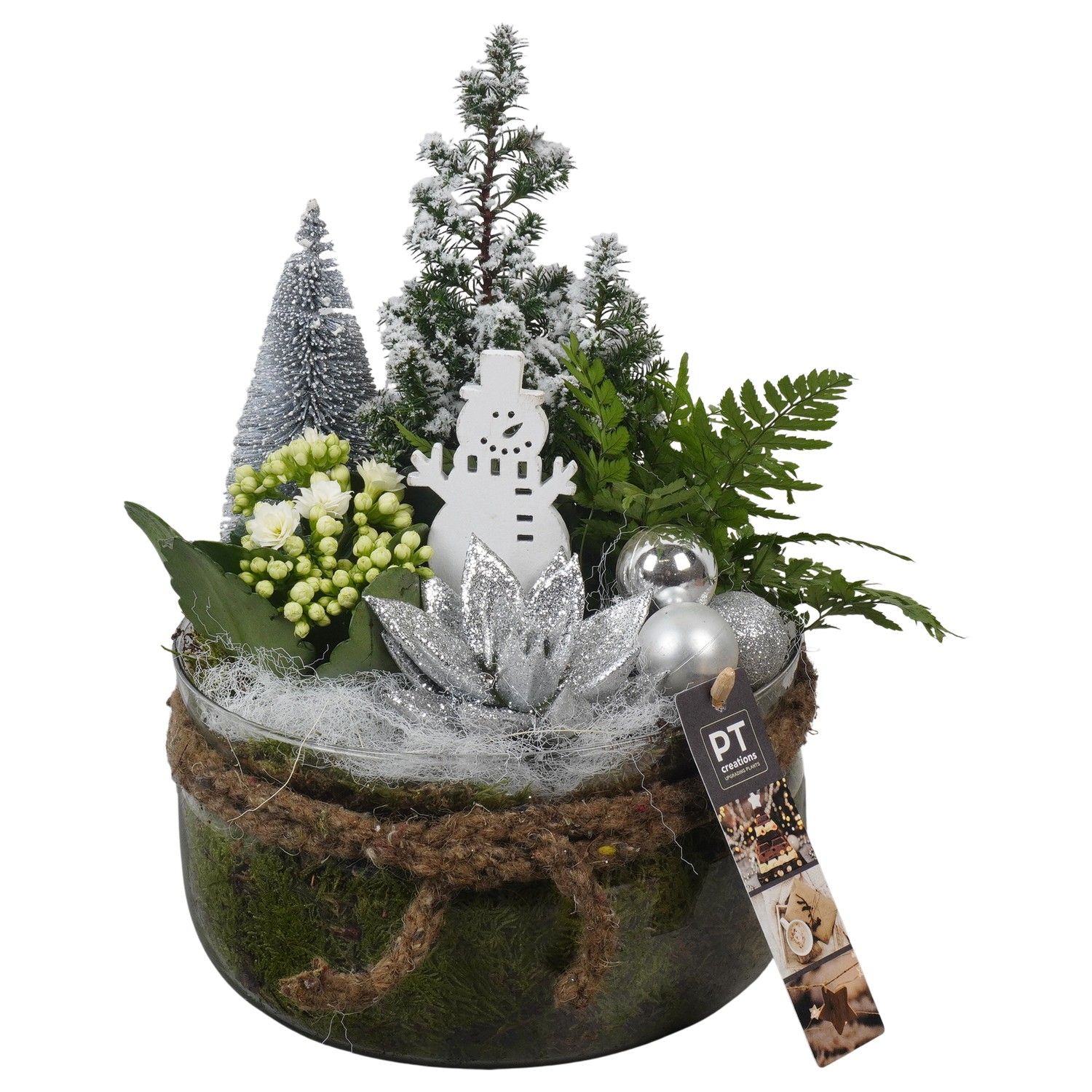 PTCHW4376 Arrangement Christmas White in glas schaal, D 19 cm