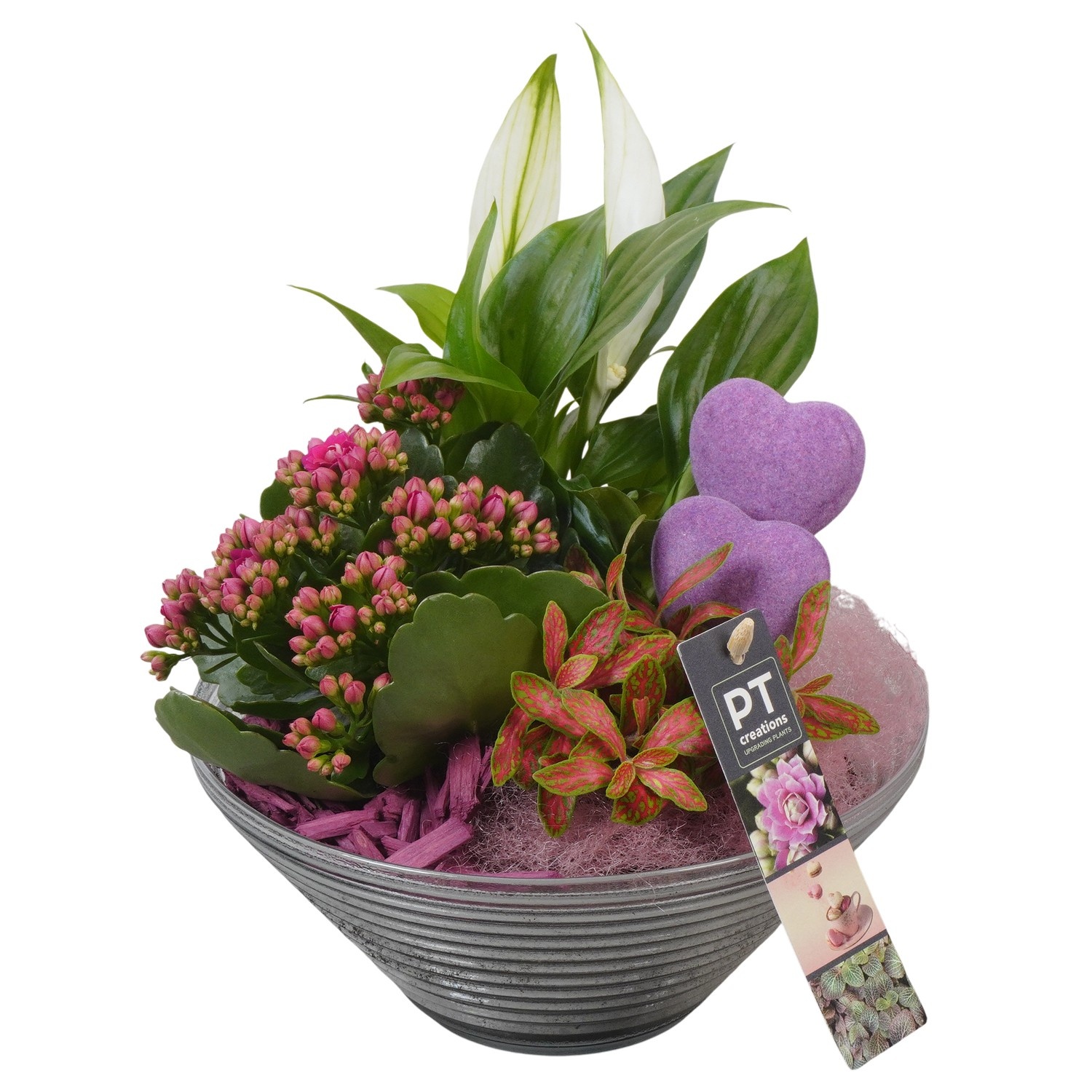 PTVMG4970 Arrangement Valentines-Mothersday in glas schaal, D 19