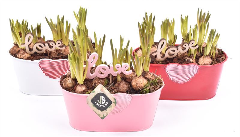 Zink met hart mix 19x10cm, D 19