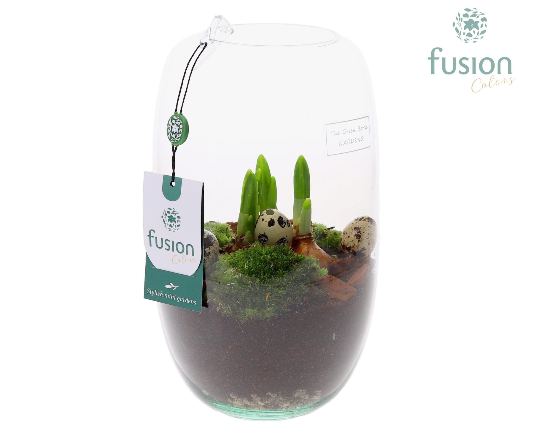 Green Bottle Isabella Medium Pasen met Bollen mix, D 15