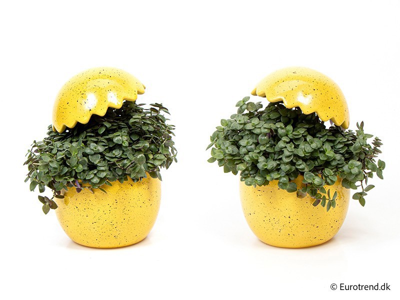 GREEN MIX IN E 4030, D 11