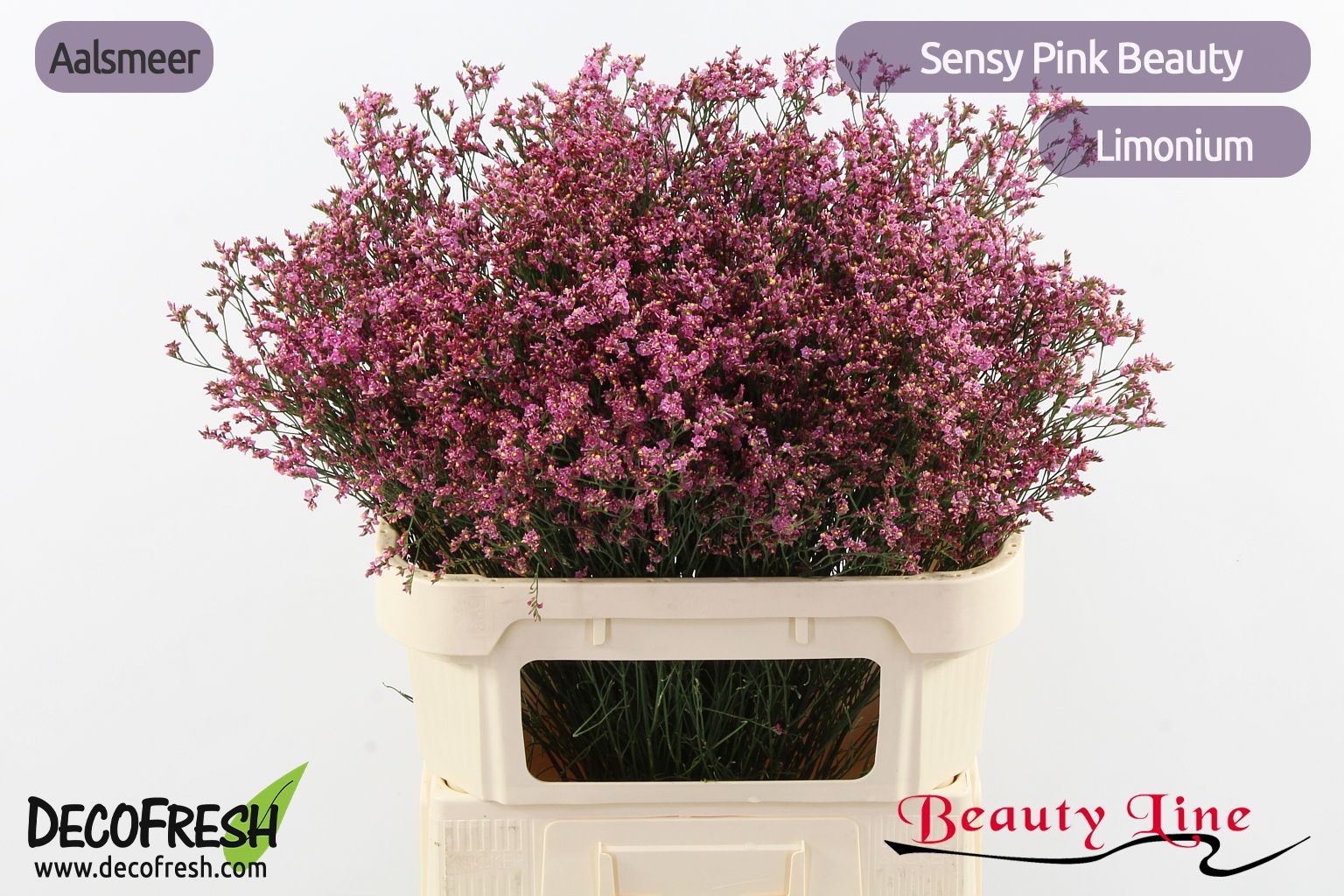 Лимониум Сенси Пинк Бьюти 80, шт.