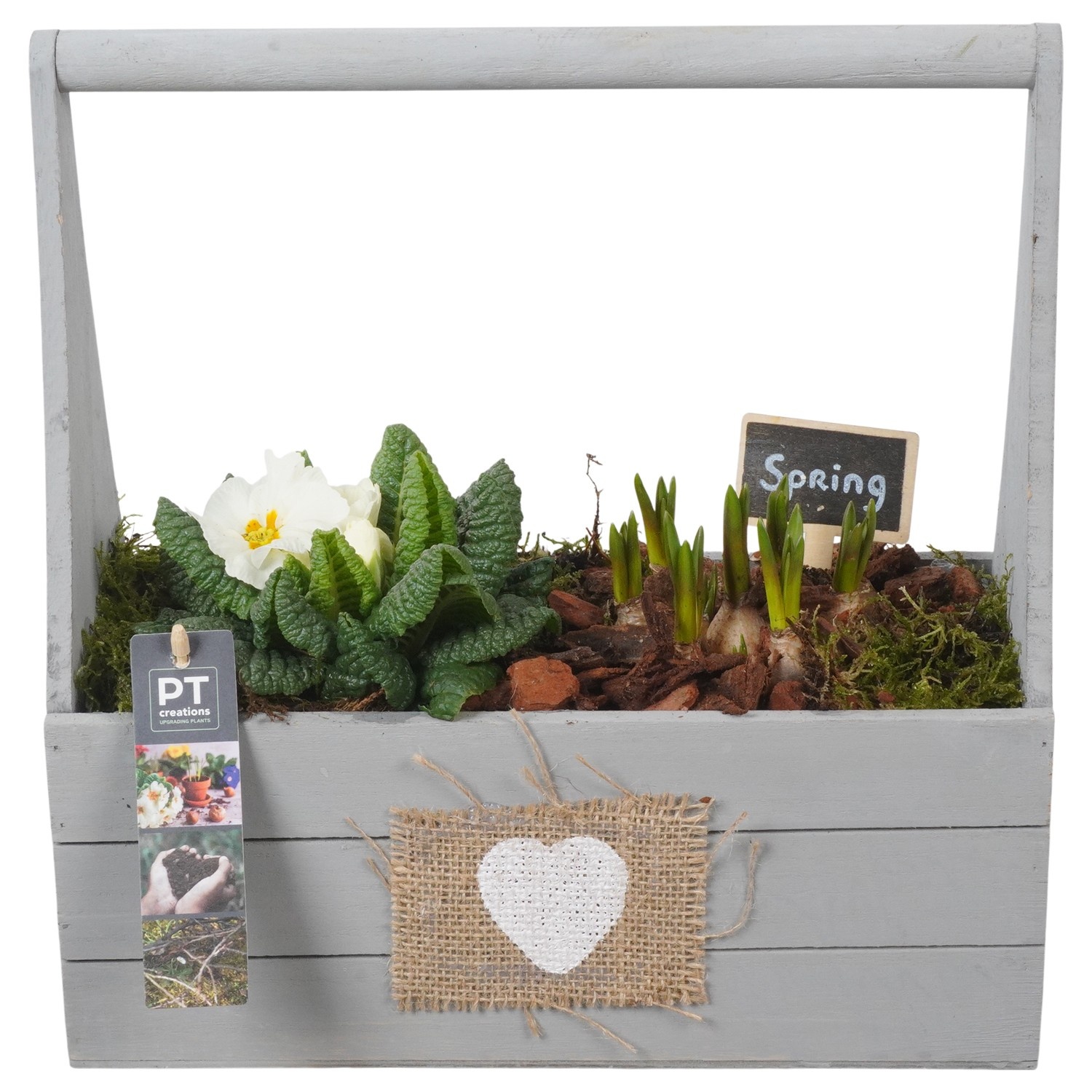 PTBM3920 Arrangement Flower Bulbs Mix in houten rechthoek pot, D 30
