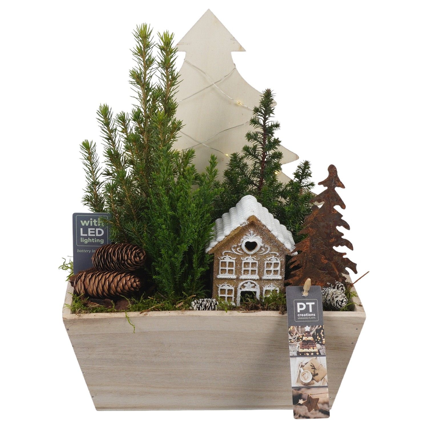 PTCWW6871 Arrangement Winter in houten bak, D 23 cm