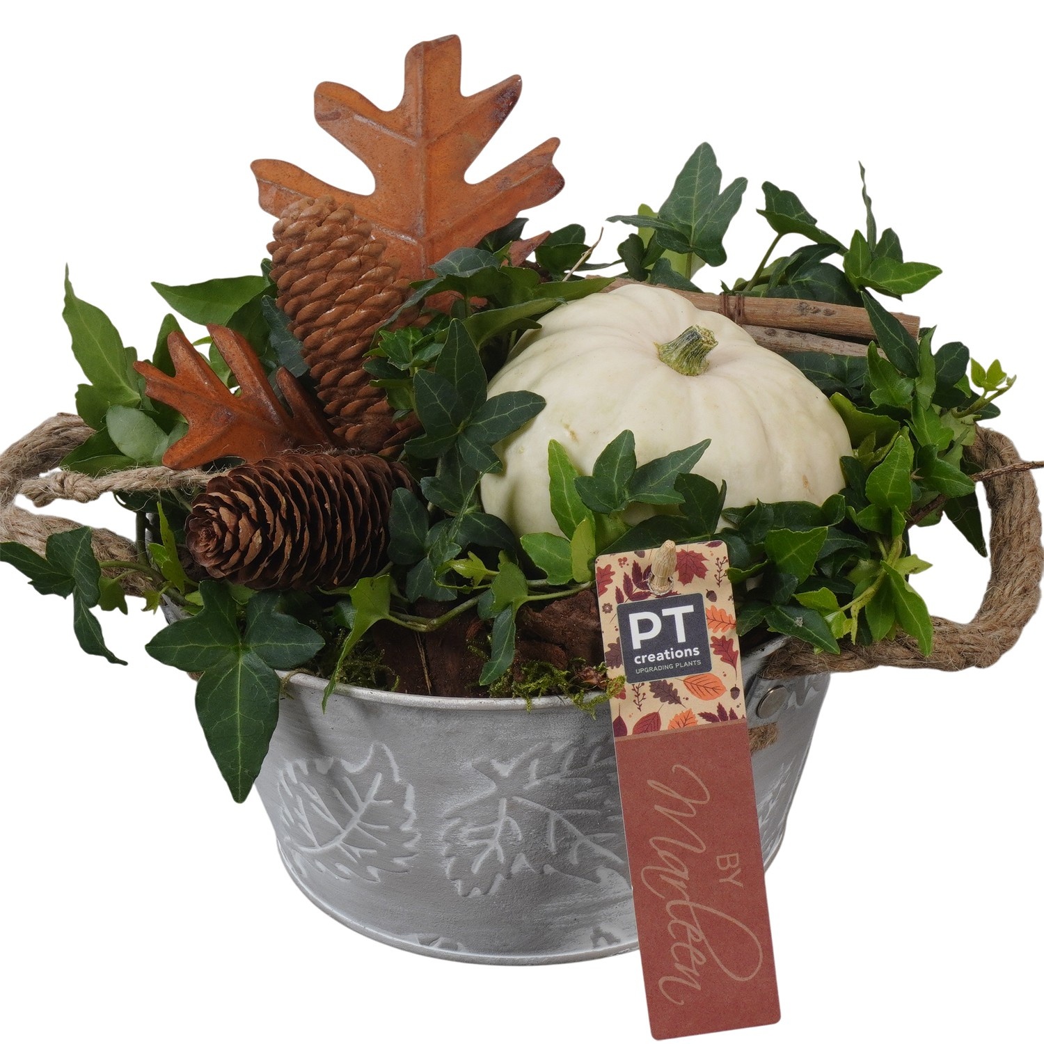 PTSF8215 Arrangement Kalebas hedera in metalen pot, D 18 cm