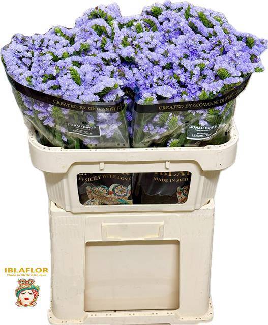 Статица Донау Бердс 70 (светло-роз.), шт.