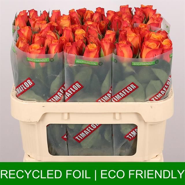 Роза од. Конфиденшиал 70, шт.