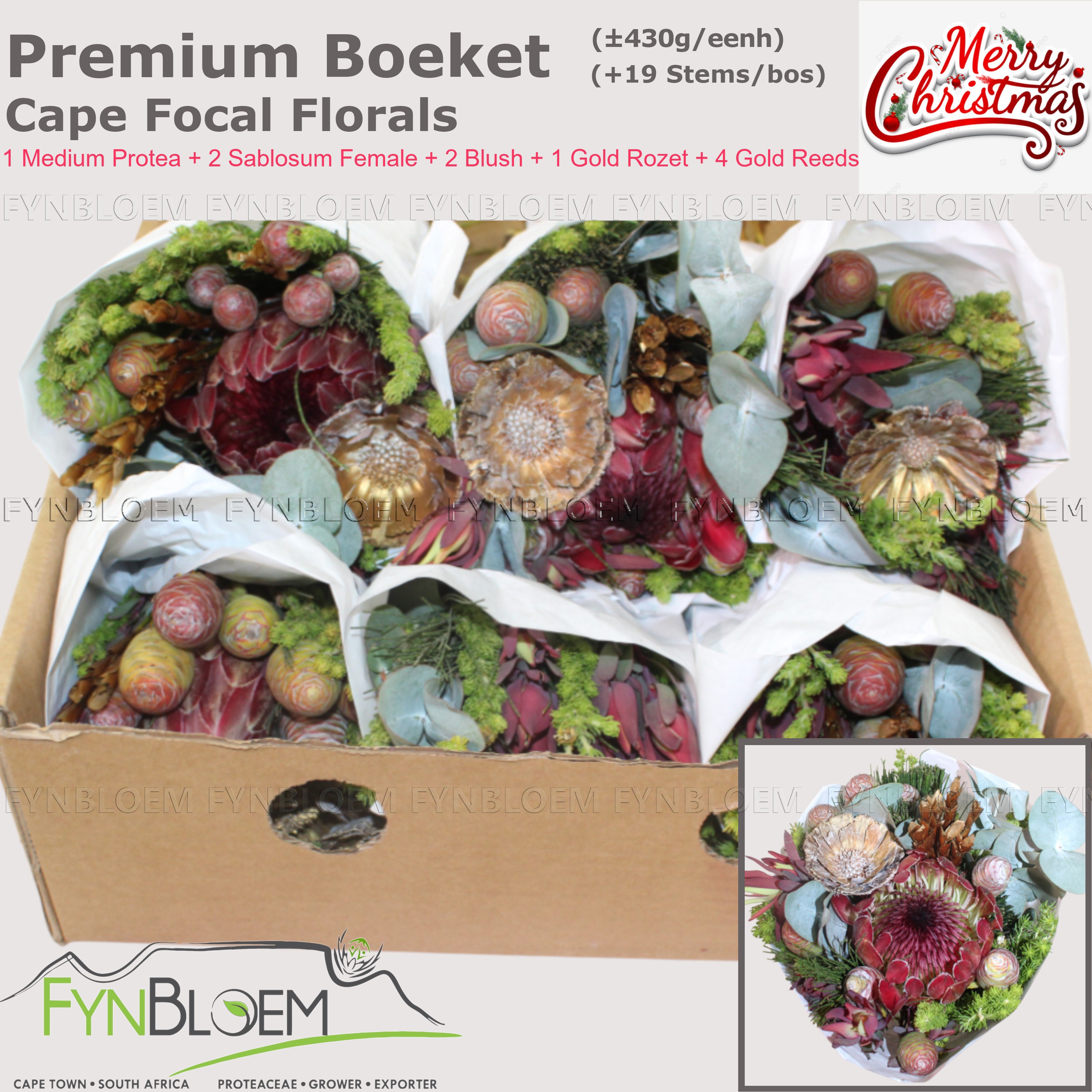 Протея Овериг за пучок 40, пуч.