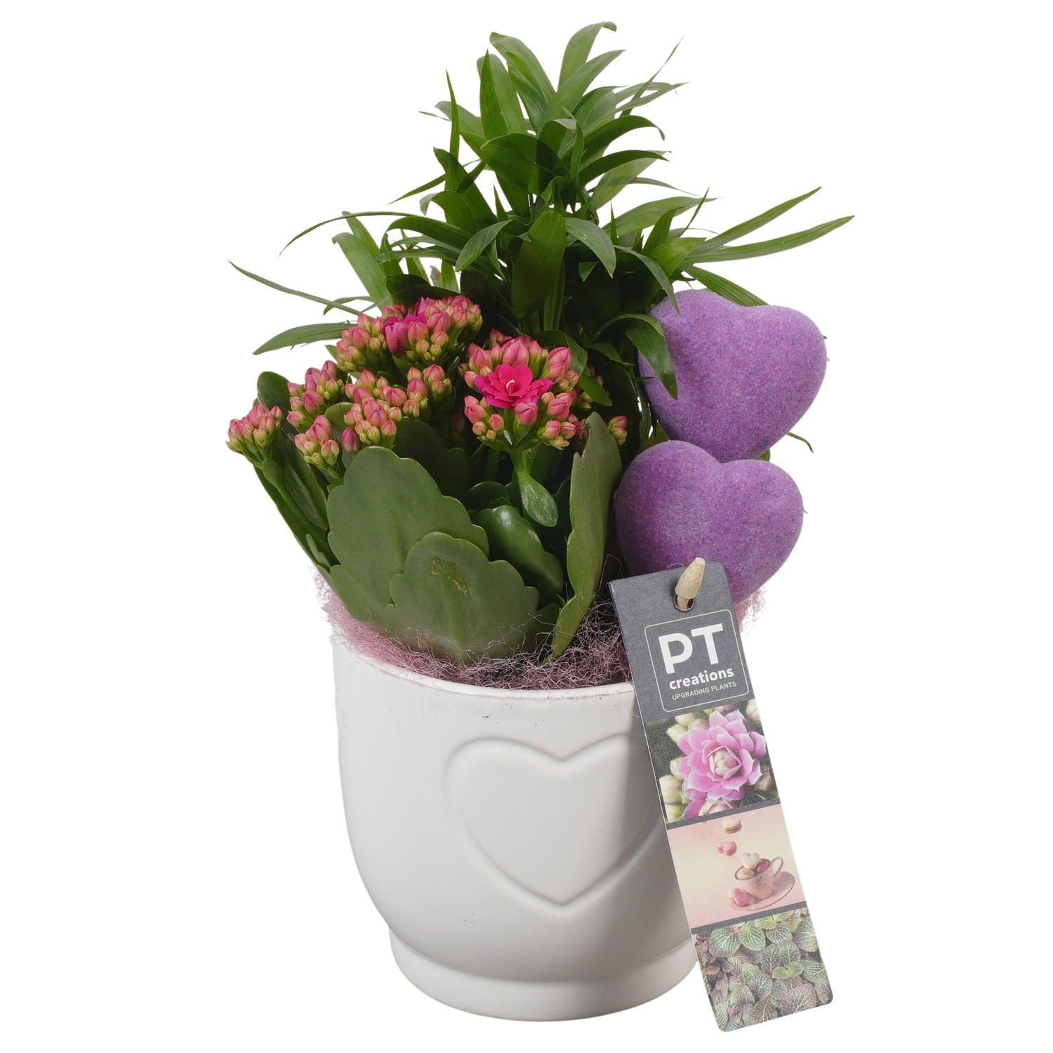 PTVMB2259 Arrangement Valentines-Mothersday in keramiek sierpot, D 11