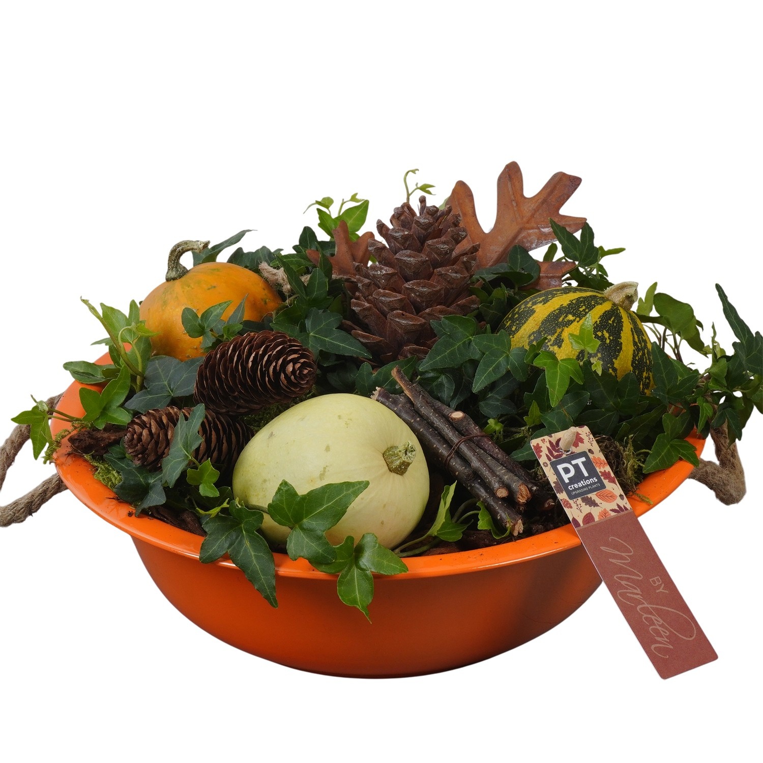 PTSF8206 Arrangement Kalebas hedera in metalen schaal, D 29 cm