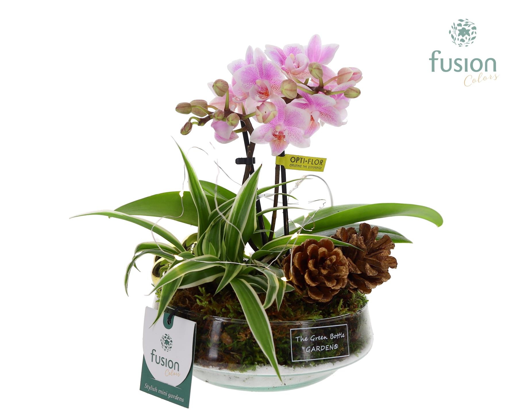 Green Bottle Iris Small met Kerst LED arrangement, D 15