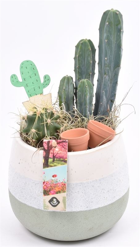 Keramiek pot wit/gr 14-15cm, D 14