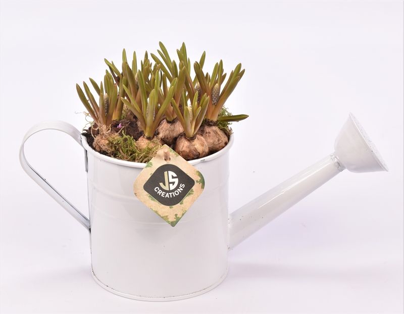 Zink gieter 13cm, D 14