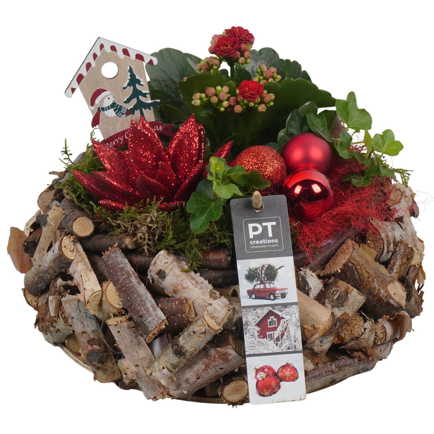 PTCHR7353 Arrangement Christmas Red in houten pot, D 23 cm
