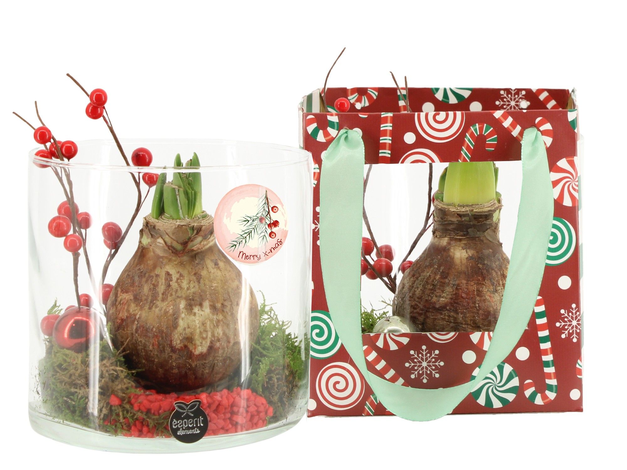 61995: X-mas arrangement, D 15