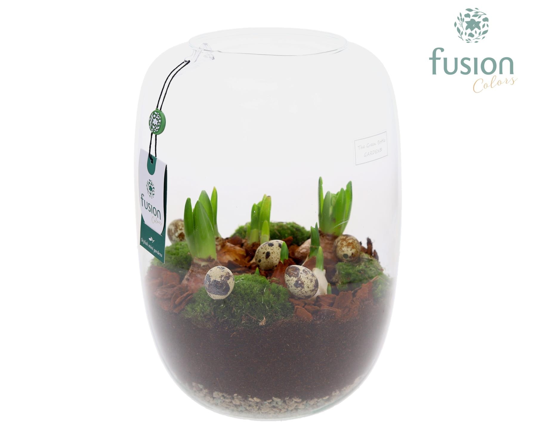 Green Bottle Isabella XLarge Pasen met Bollen mix, D 23