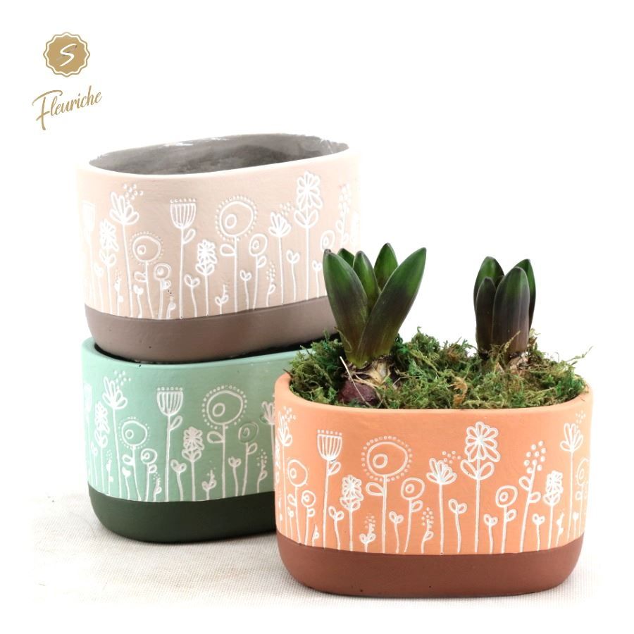 (2403) Hyacint Flower Time (L), D 14 cm