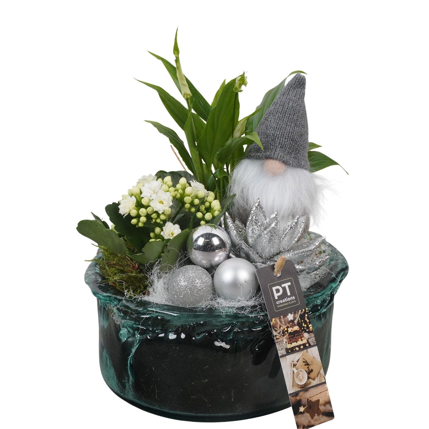 PTCHW4367 Arrangement Christmas White in glas schaal, D 18 cm