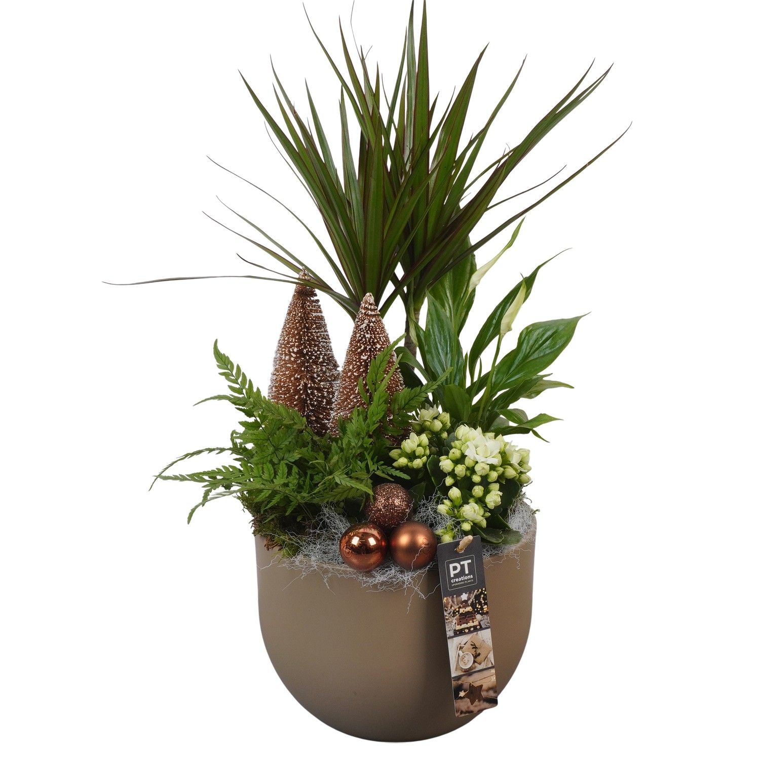 PTCHB9736 Arrangement Christmas Bronze in keramiek pot, D 19 cm